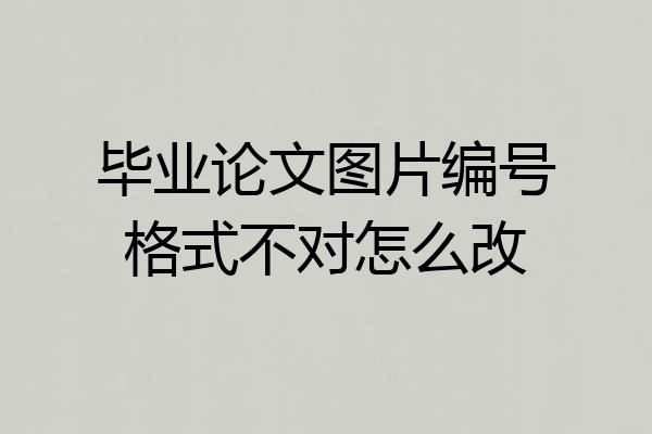 毕业论文图片编号格式不对怎么改