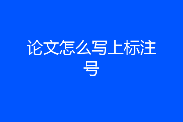 论文怎么写上标注号