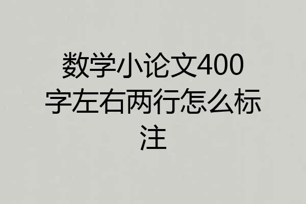 数学小论文400字左右两行怎么标注