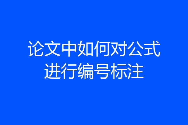 论文中如何对公式进行编号标注