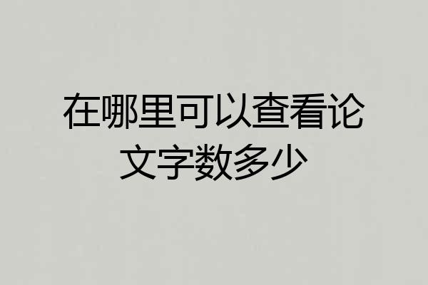 在哪里可以查看论文字数多少