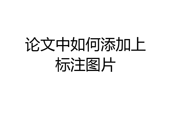 论文中如何添加上标注图片