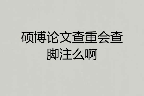 硕博论文查重会查脚注么啊