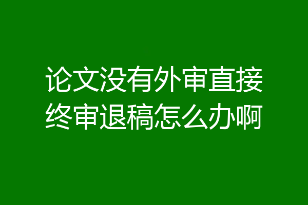 论文没有外审直接终审退稿怎么办啊