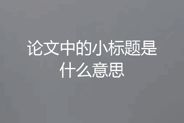 论文中的小标题是什么意思