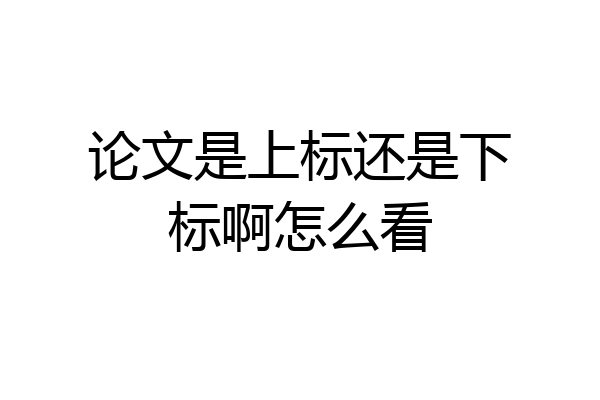 论文是上标还是下标啊怎么看