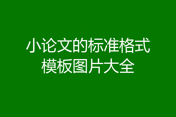 小论文的标准格式模板图片大全