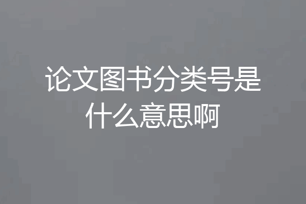 论文图书分类号是什么意思啊