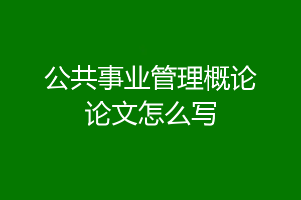 公共事业管理概论论文怎么写