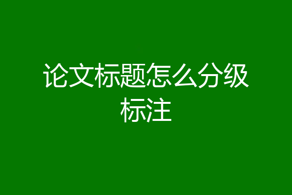 论文标题怎么分级标注