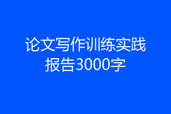 论文写作训练实践报告3000字