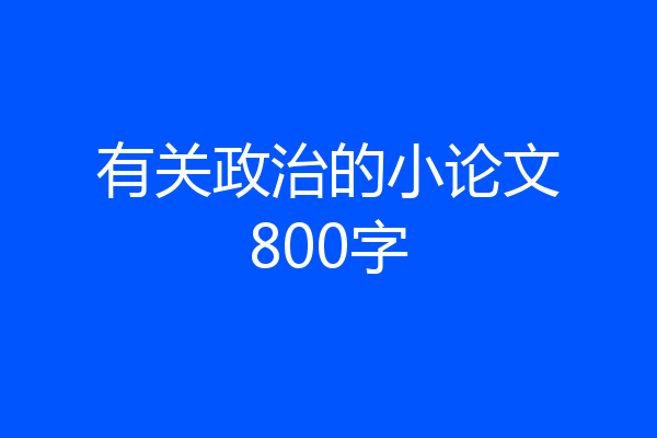 有关政治的小论文800字