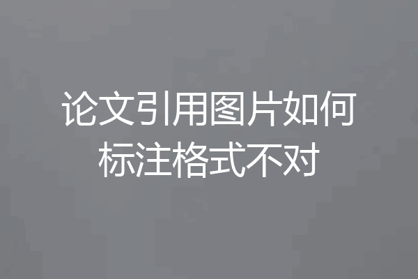论文引用图片如何标注格式不对