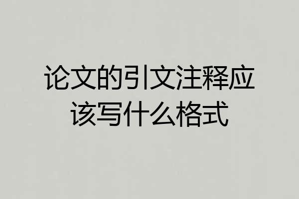 论文的引文注释应该写什么格式