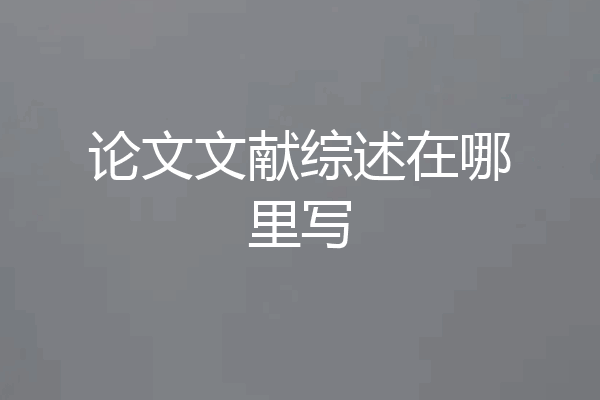 论文文献综述在哪里写