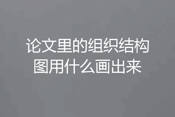 论文里的组织结构图用什么画出来