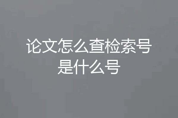 论文怎么查检索号是什么号