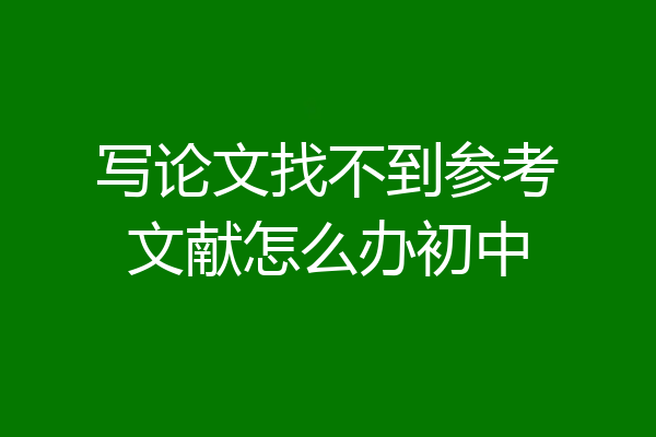 写论文找不到参考文献怎么办初中