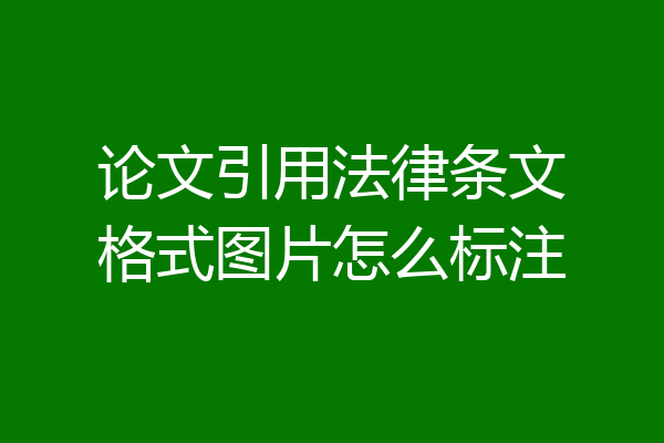 论文引用法律条文格式图片怎么标注