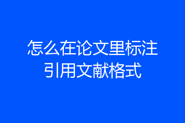 怎么在论文里标注引用文献格式