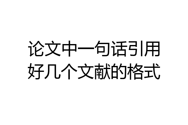 论文中一句话引用好几个文献的格式