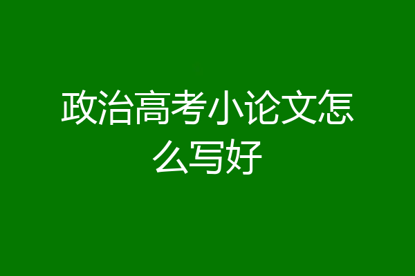政治高考小论文怎么写好