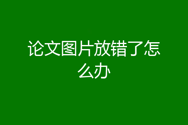 论文图片放错了怎么办