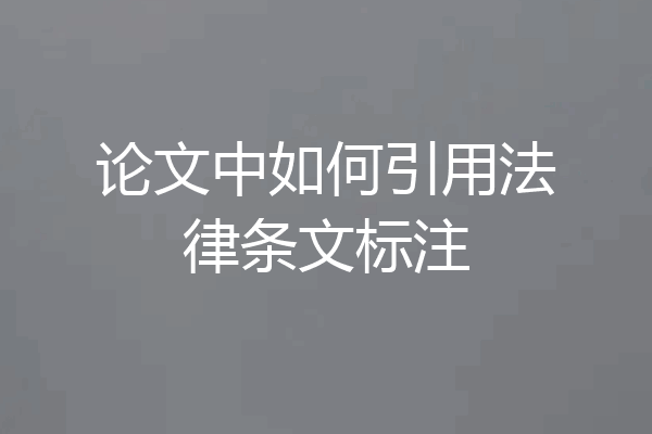 论文中如何引用法律条文标注