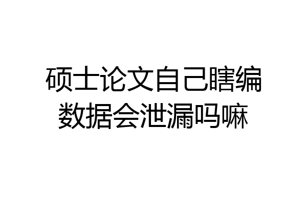 硕士论文自己瞎编数据会泄漏吗嘛