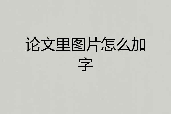 论文里图片怎么加字