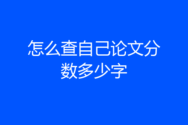 怎么查自己论文分数多少字