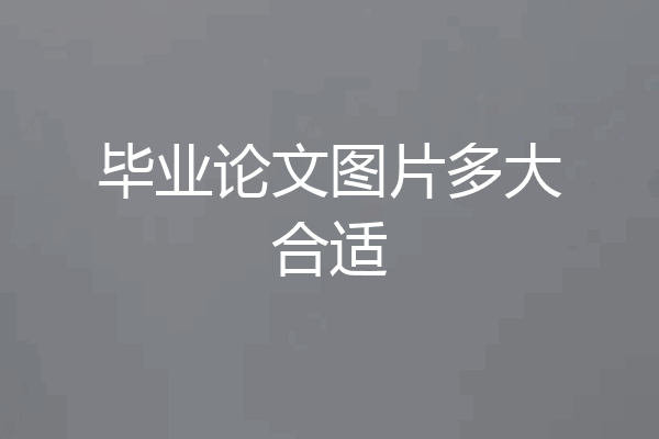 毕业论文图片多大合适