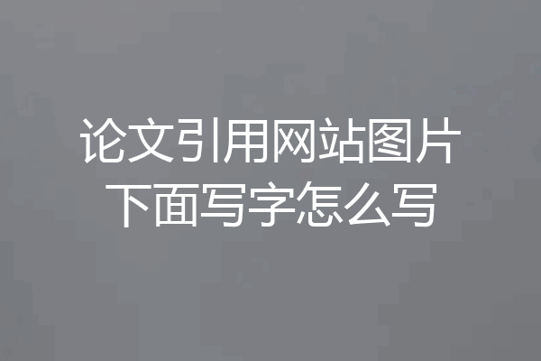 论文引用网站图片下面写字怎么写