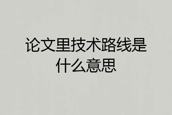 论文里技术路线是什么意思