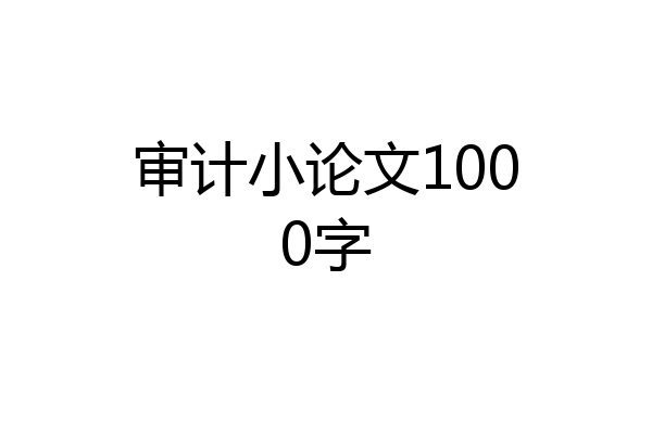 审计小论文1000字
