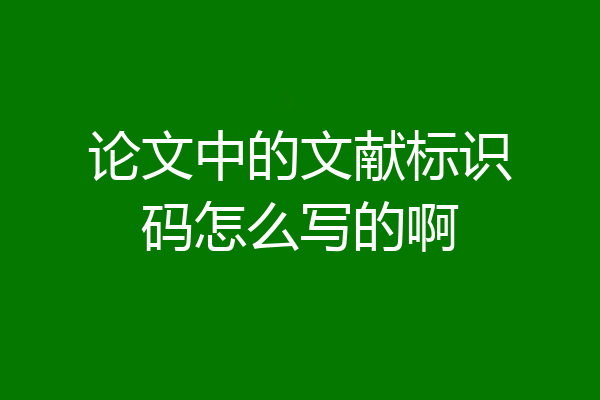 论文中的文献标识码怎么写的啊