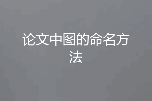 论文中图的命名方法