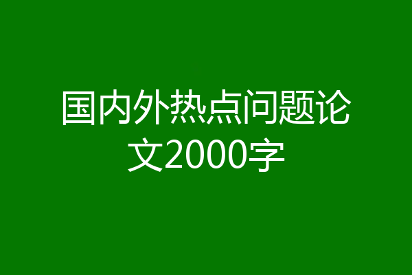 国内外热点问题论文2000字