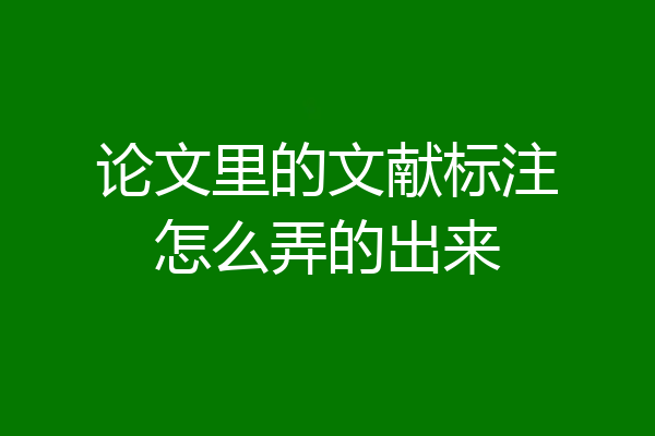论文里的文献标注怎么弄的出来