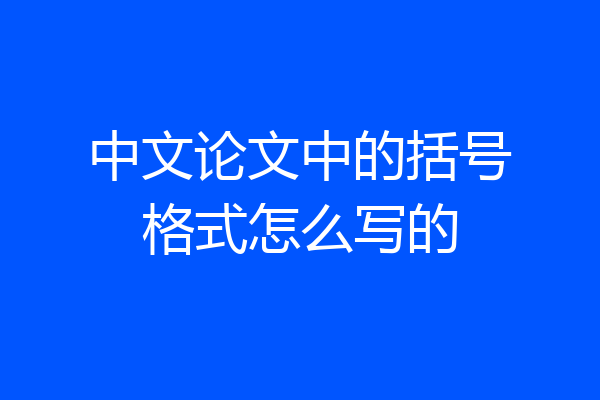 中文论文中的括号格式怎么写的