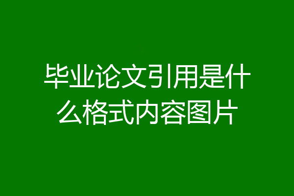 毕业论文引用是什么格式内容图片