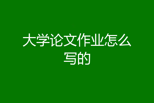 大学论文作业怎么写的