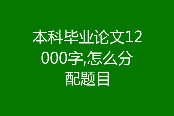 本科毕业论文12000字,怎么分配题目