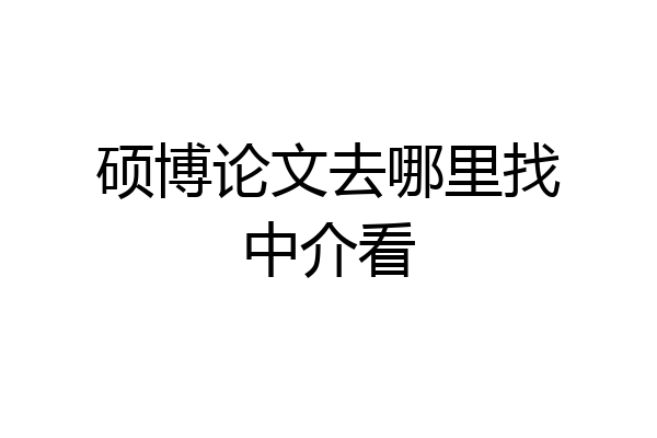 硕博论文去哪里找中介看