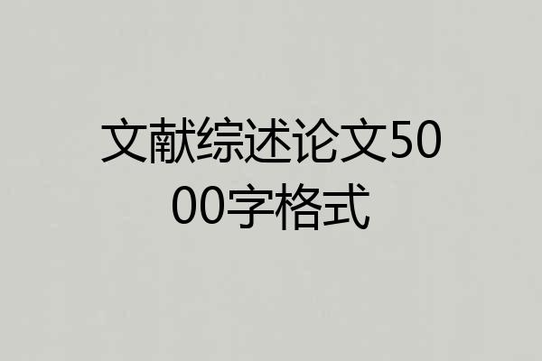 文献综述论文5000字格式