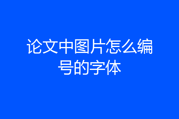 论文中图片怎么编号的字体