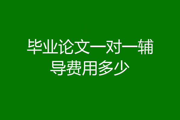 毕业论文一对一辅导费用多少