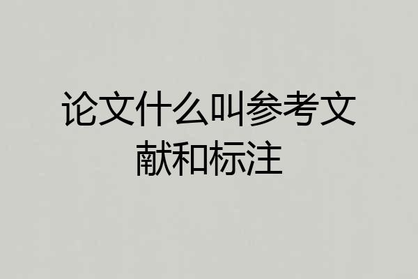 论文什么叫参考文献和标注