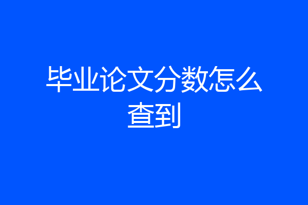 毕业论文分数怎么查到