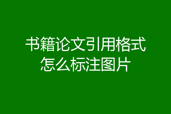 书籍论文引用格式怎么标注图片